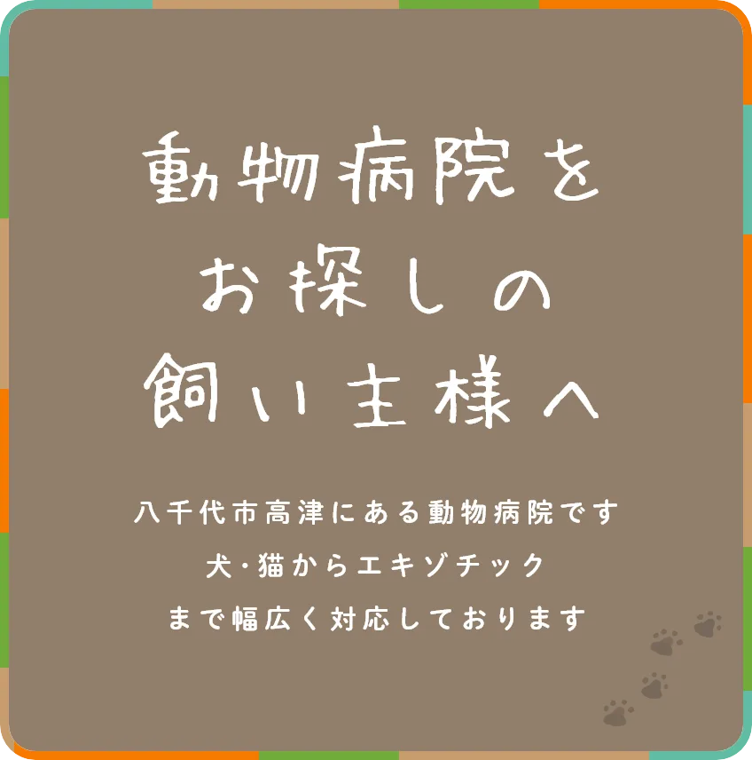 動物病院をお探しの飼い主様へ