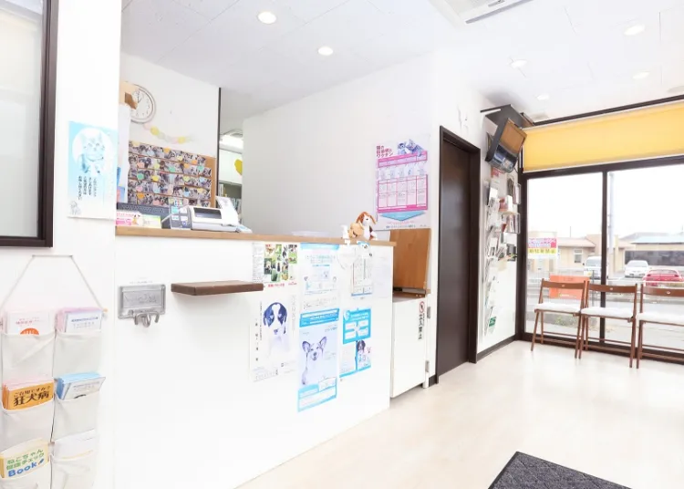 動物病院をお探しの飼い主様へ