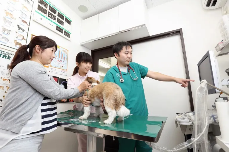 手術が必要になったら